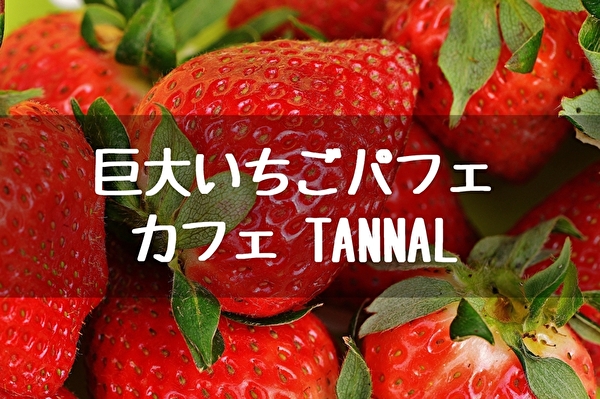 福岡【糸島】巨大いちごパフェ【cafe TANNAL】