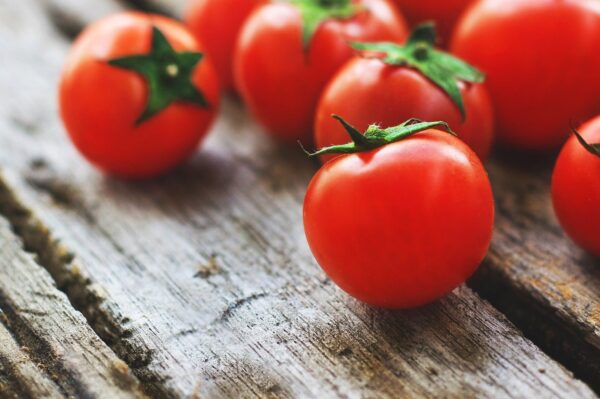 「トマト」新サイト開設