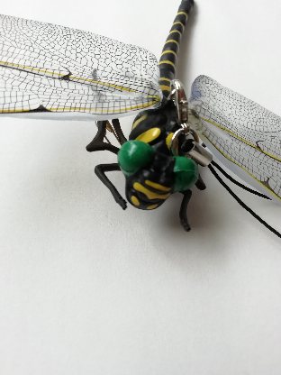 カメムシ対策 新アイデア 洗濯物に寄り付かないようにする トマトサーチ２
