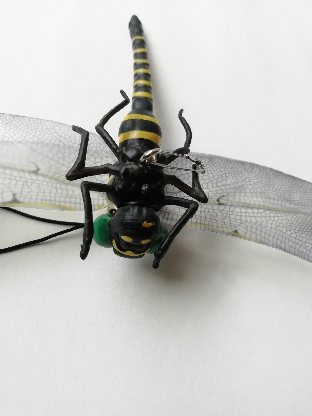 カメムシ対策 新アイデア 洗濯物に寄り付かないようにする トマトサーチ２
