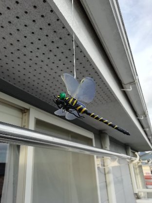 カメムシ対策 新アイデア 洗濯物に寄り付かないようにする トマトサーチ２