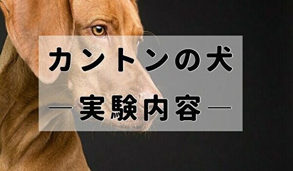 カントンの犬 衝撃の実験 血液と希釈海水を入れ替えた実験 Tomato Search2