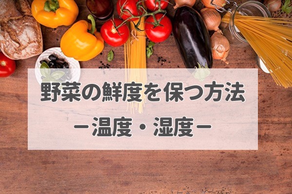 冷蔵庫の野菜を長く保存する方法【No.1長持ちは新聞紙！】