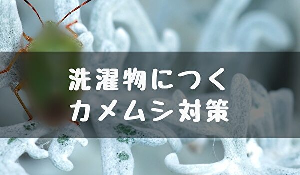 カメムシ対策 新アイデア 洗濯物に寄り付かないようにする トマトサーチ２